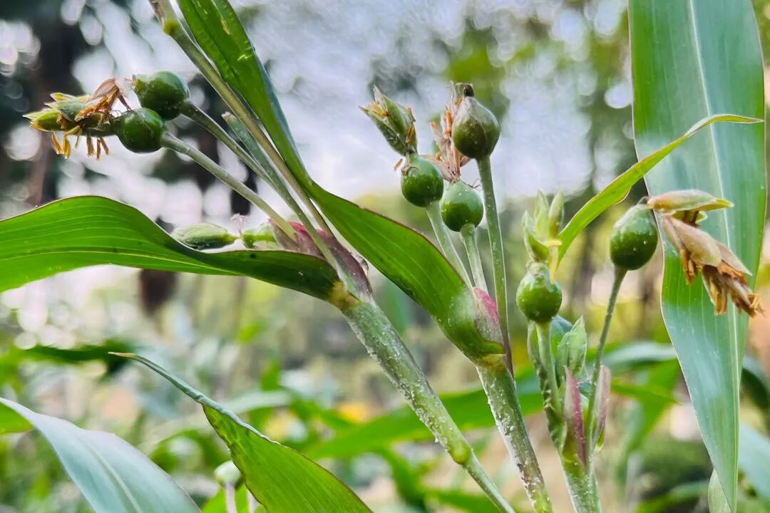 d39c6eed-0721-4491-923d-1e8ed0982009.jpg