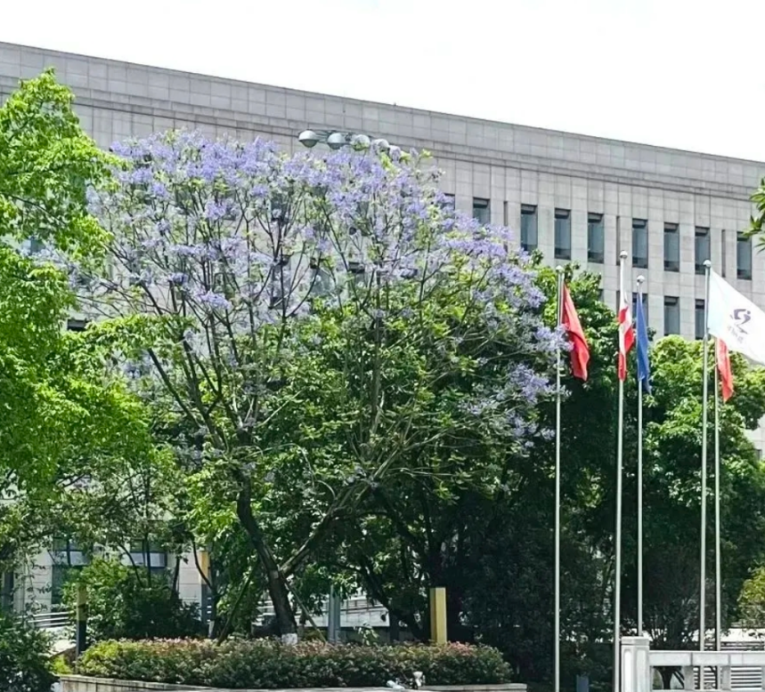image1.png