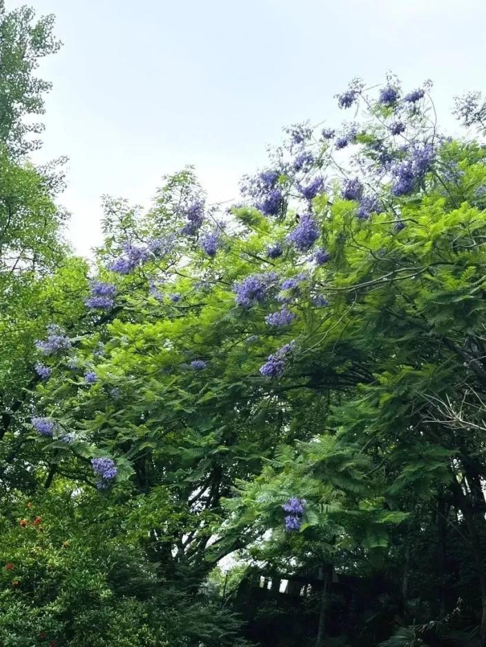 image4.jpeg