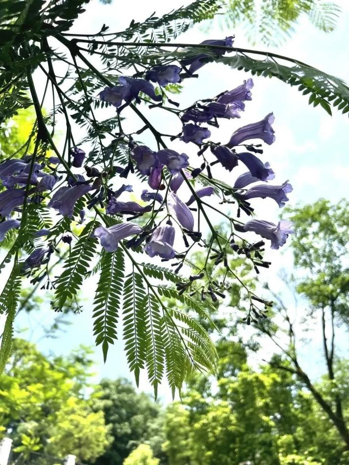 image3.jpeg